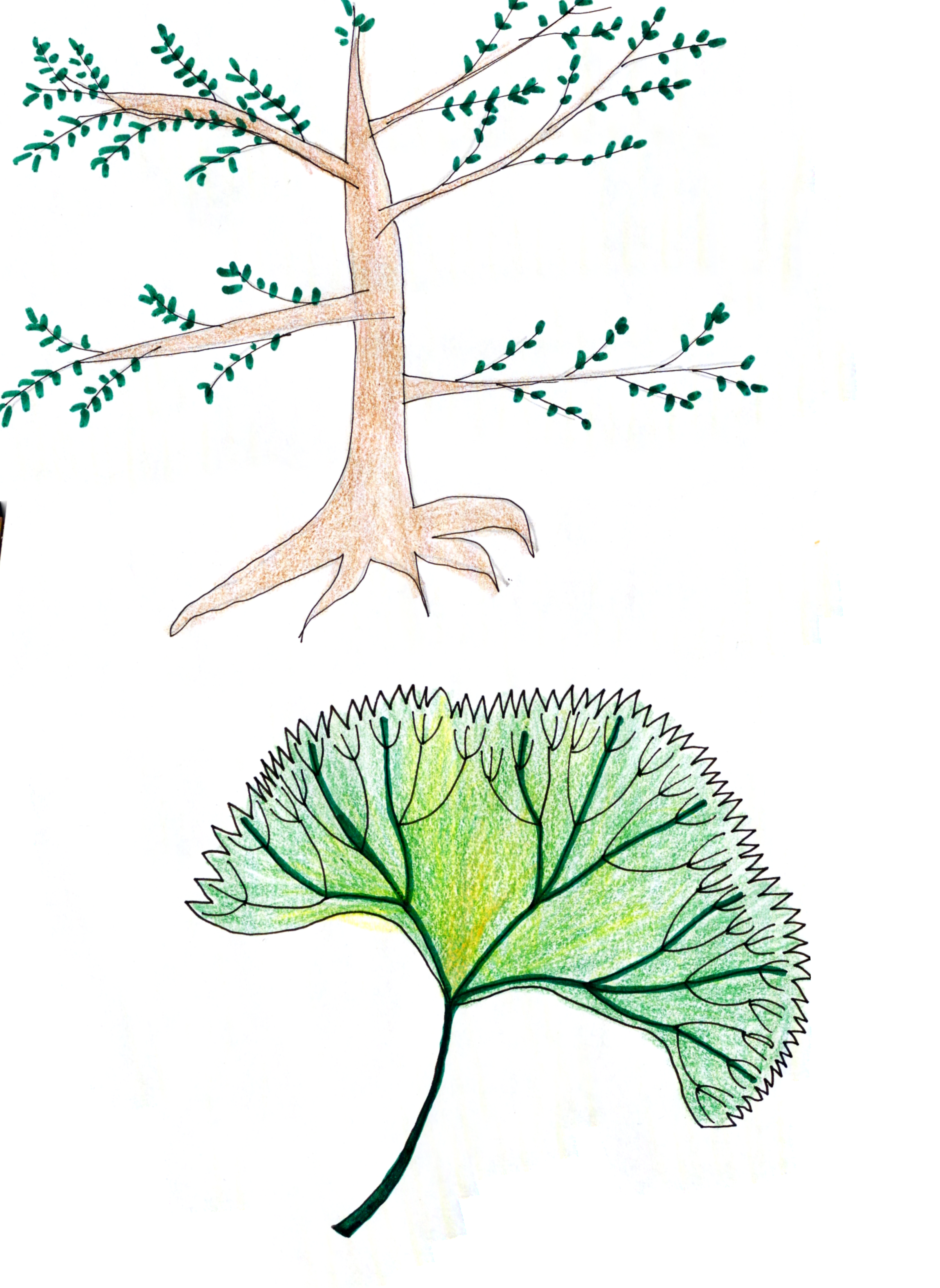 e187ec94-a61b-11ed-b426-560280d5f990.png