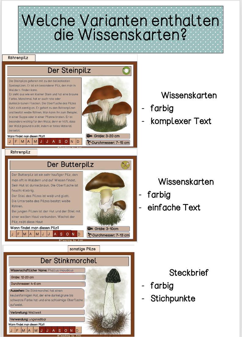 5b691940-cfa0-11ed-8922-42c2c2c68891.png