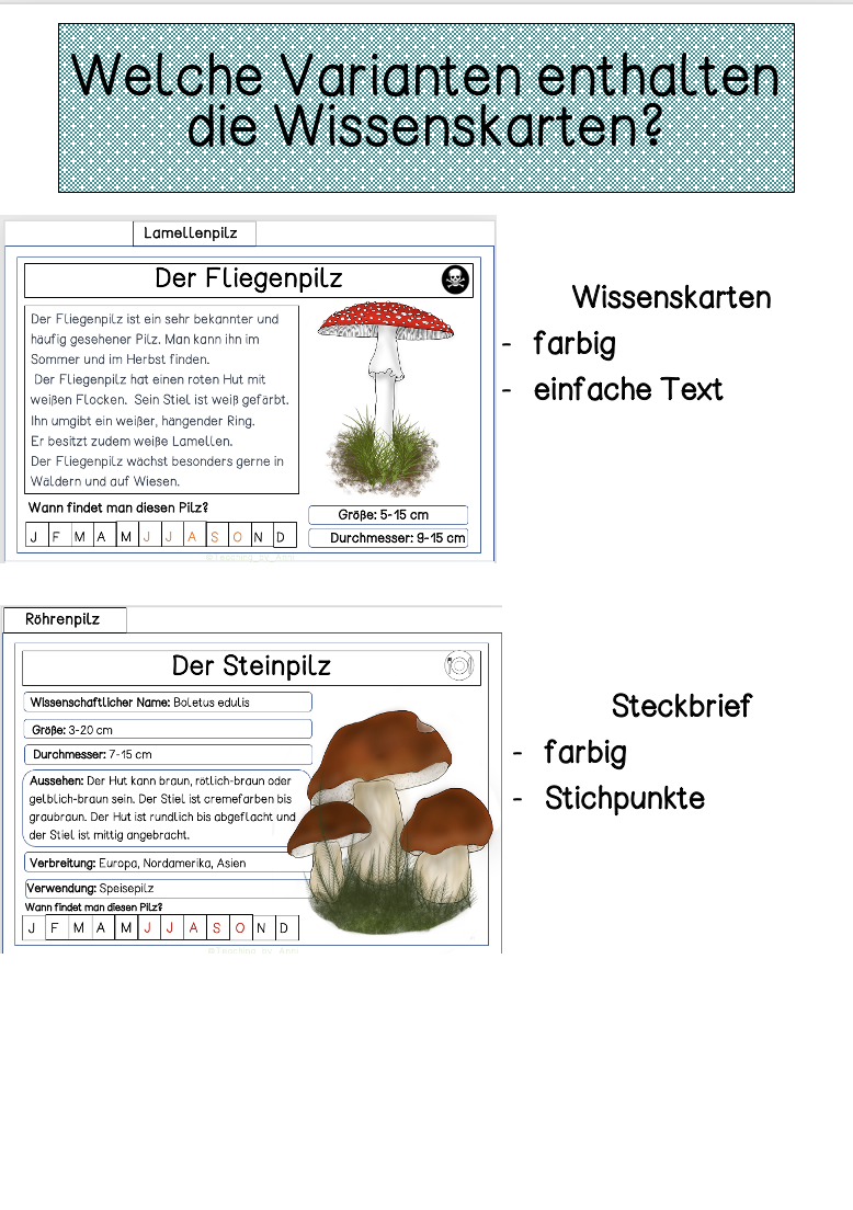 6215cb9e-cfa0-11ed-abbf-aa489c16a614.png